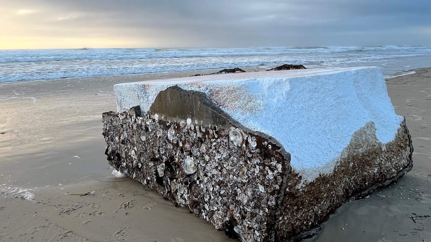 Polystyrene 'white spill' from floods causing an 'environmental catastrophe' on beaches