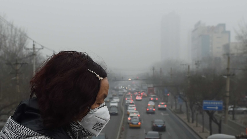 Just 25 big cities, mostly in China, driving majority of urban greenhouse gas emissions