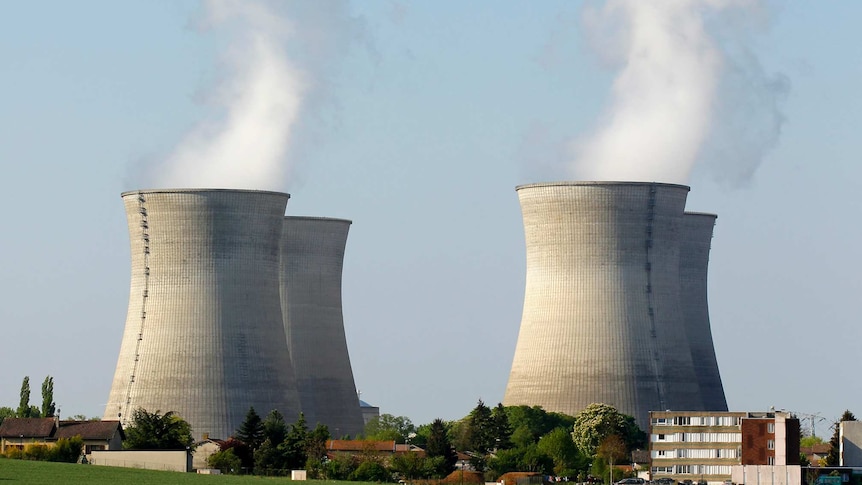 Is nuclear power the key to carbon neutrality or a financial graveyard for all comers?