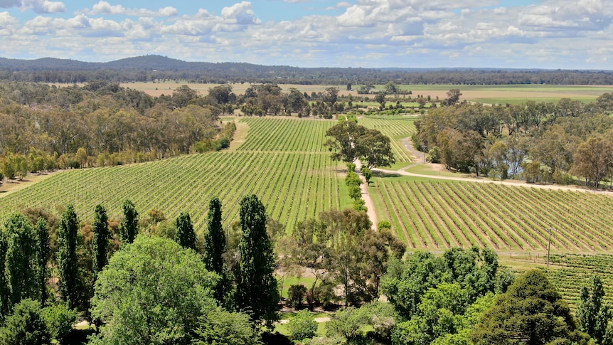 Historic winery set to be carbon neutral without offsets in less than five years