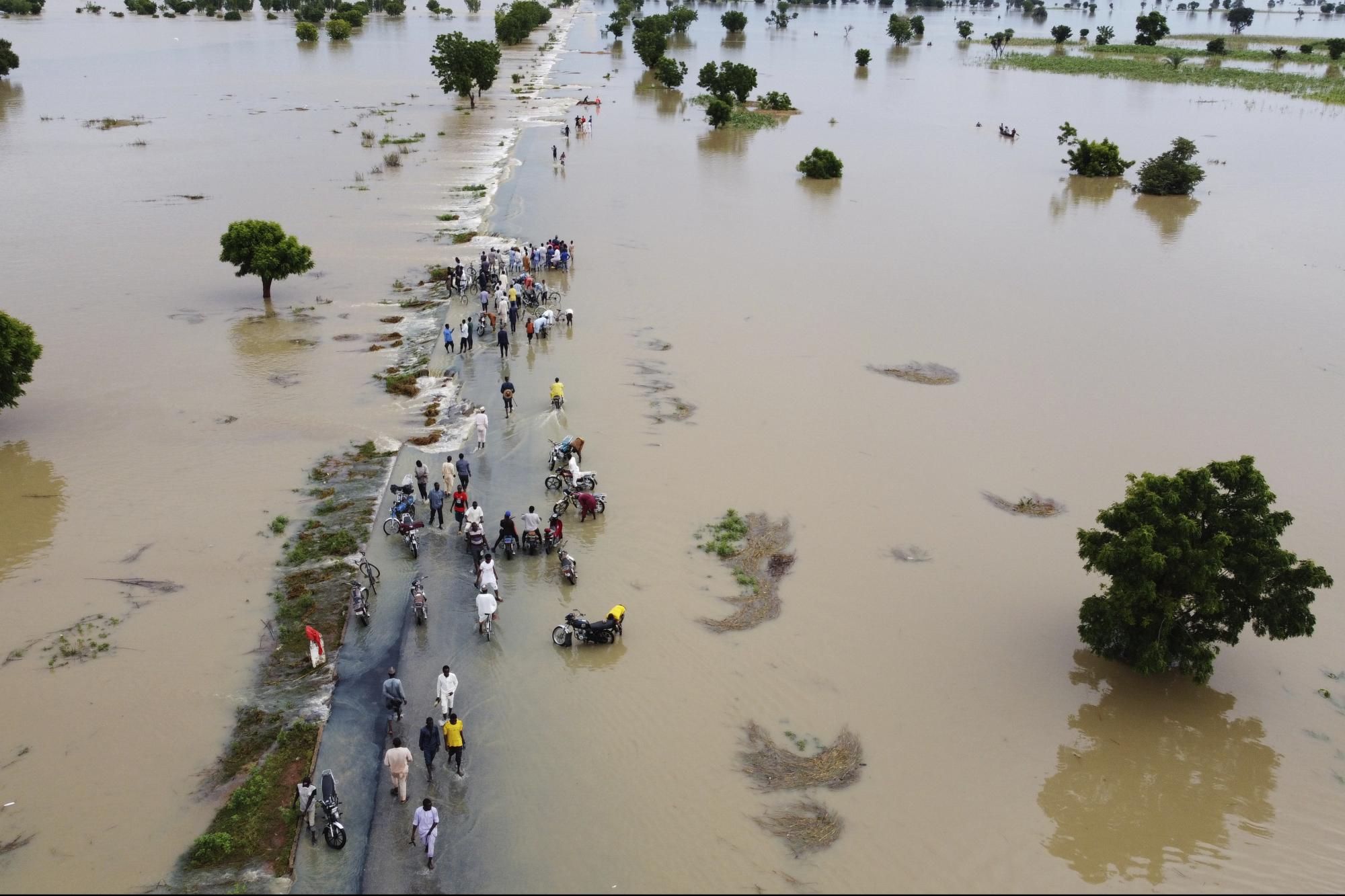 ‘Nature is striking back’: flooding around the world, from Australia to Venezuela
