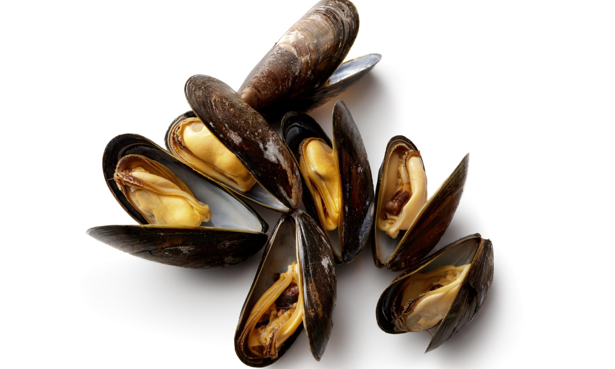 Hundreds of thousands of mussels cooked to death on New Zealand beach in heatwave