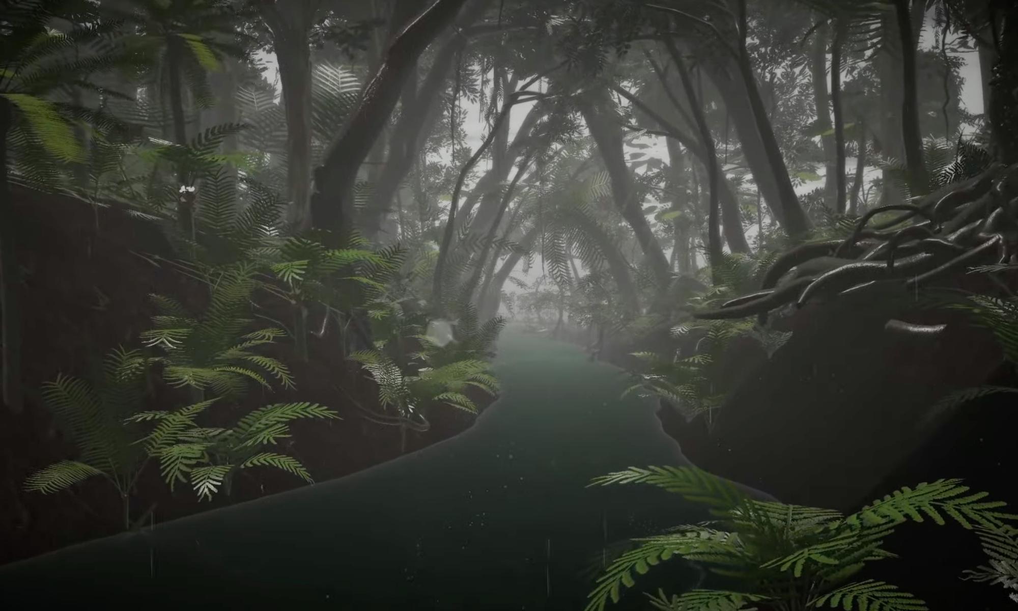 100 years in 24 hours: the ‘epic’ VR film Gondwana is set in the world’s oldest tropical rainforest