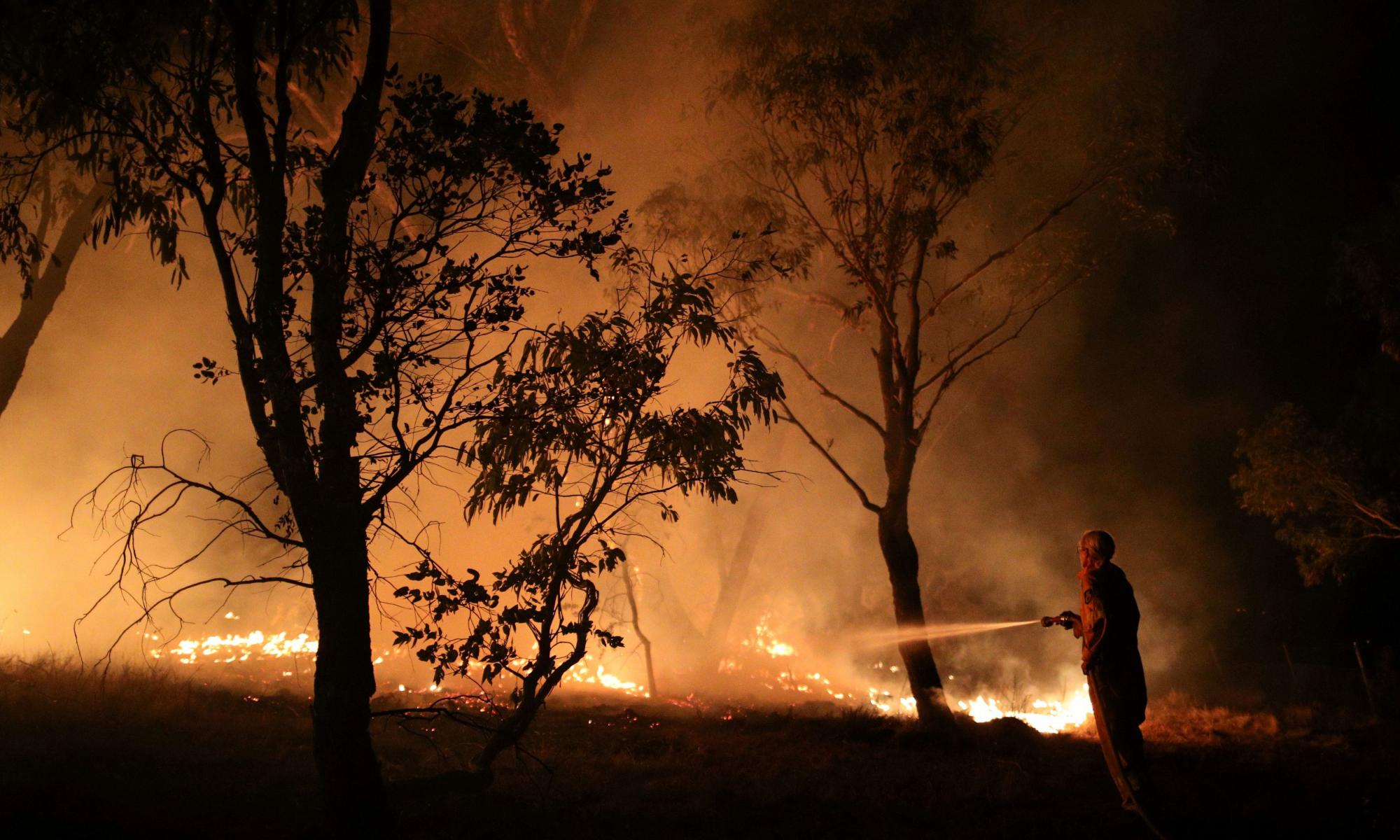 Summer's bushfires released more carbon dioxide than Australia does in a year