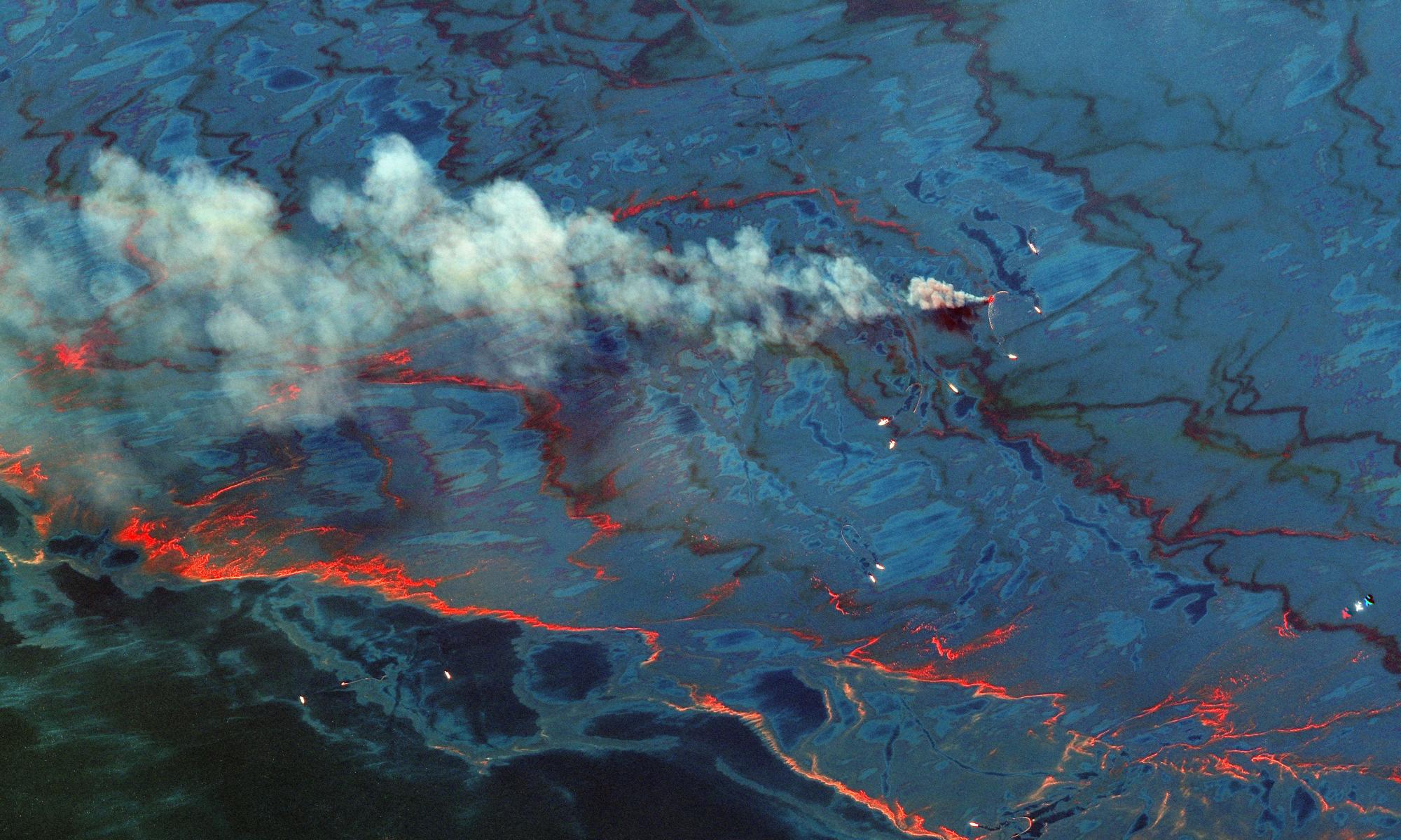 Deepwater Horizon disaster had much worse impact than believed, study finds