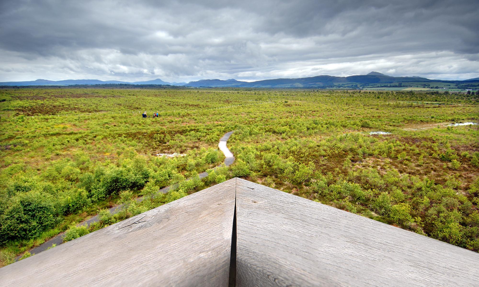 Dank, ancient and quite fantastic: Scotland’s peat bogs breathe again