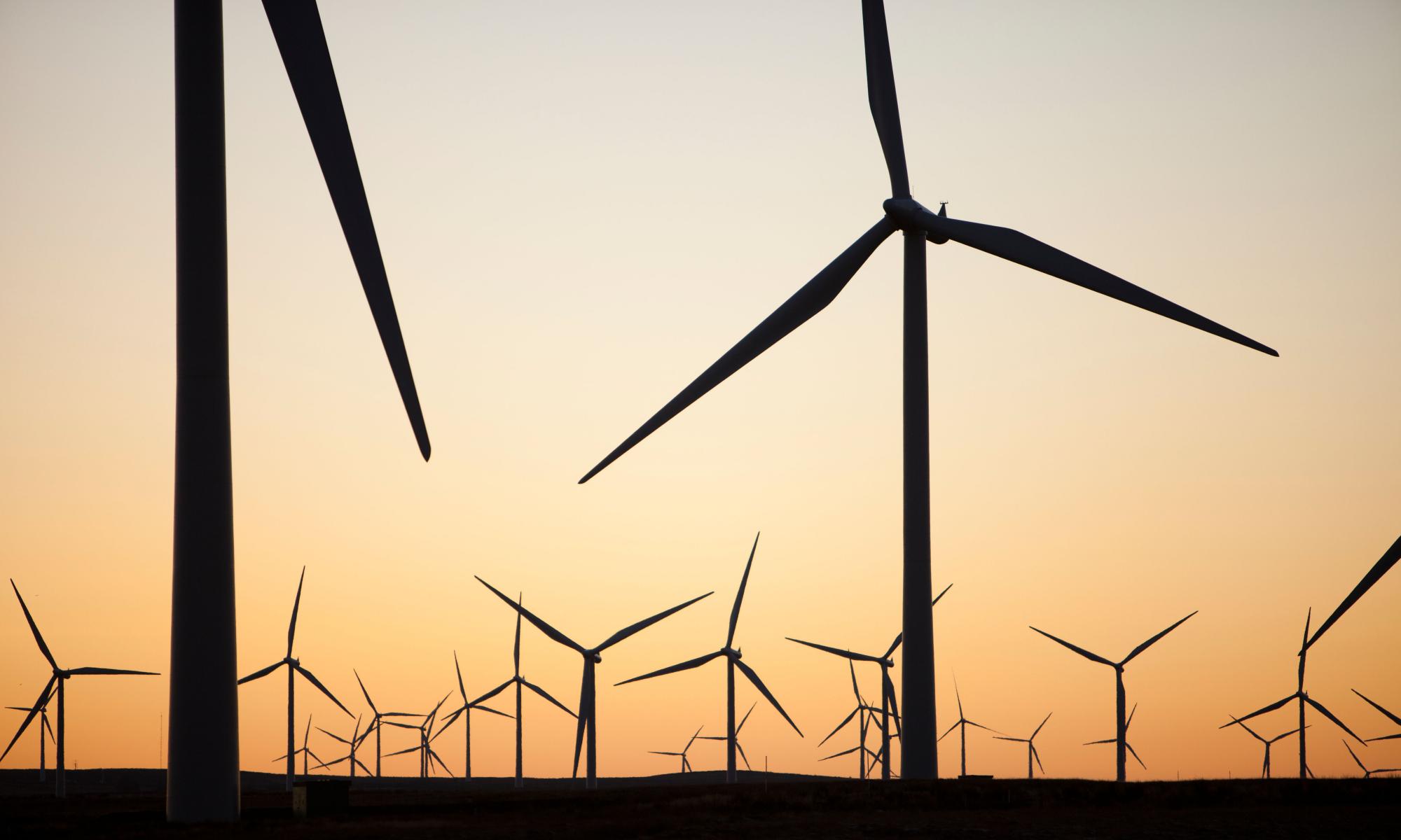 Mini-budget fell far short of promoting low-carbon future for UK