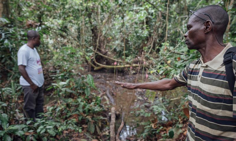 ‘Carbon timebomb’: climate crisis threatens to destroy Congo peatlands