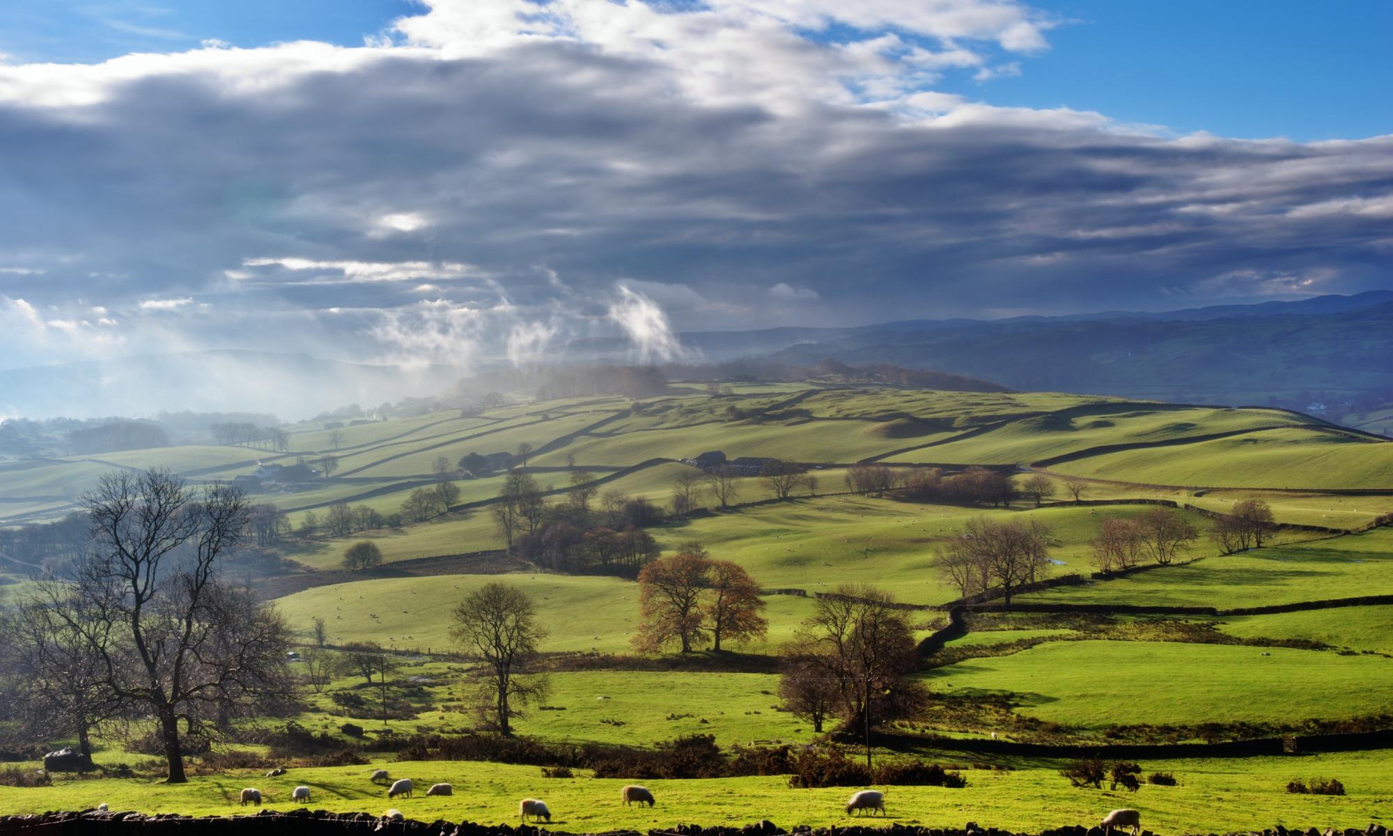 ‘Even bankers need clean air’: Natural England chief warns Truss over threat to green rules