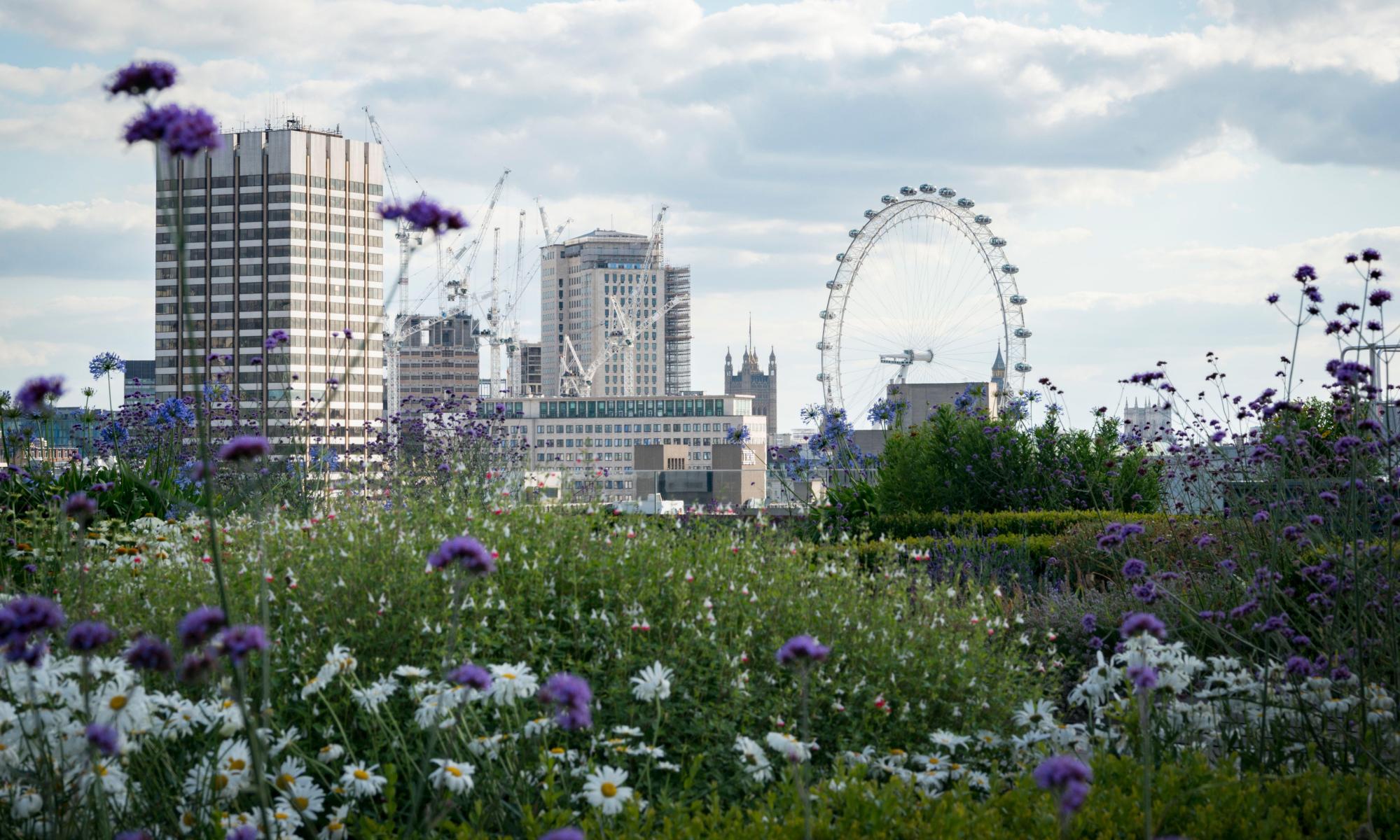 Mini forest and ‘green tower’ plans among first to meet London’s new green guidelines 