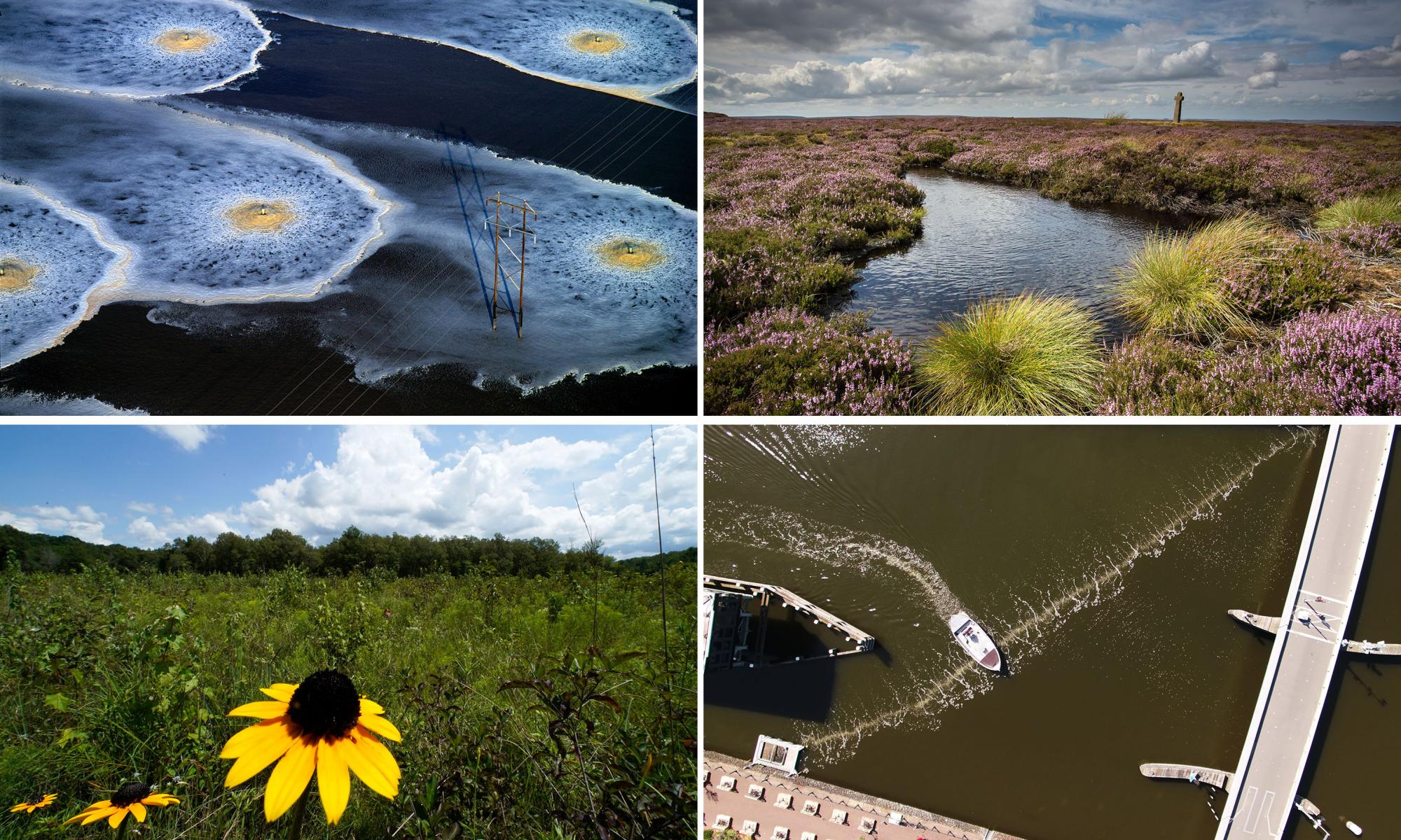 Bogs, banks and bubble barriers: five great projects to protect nature