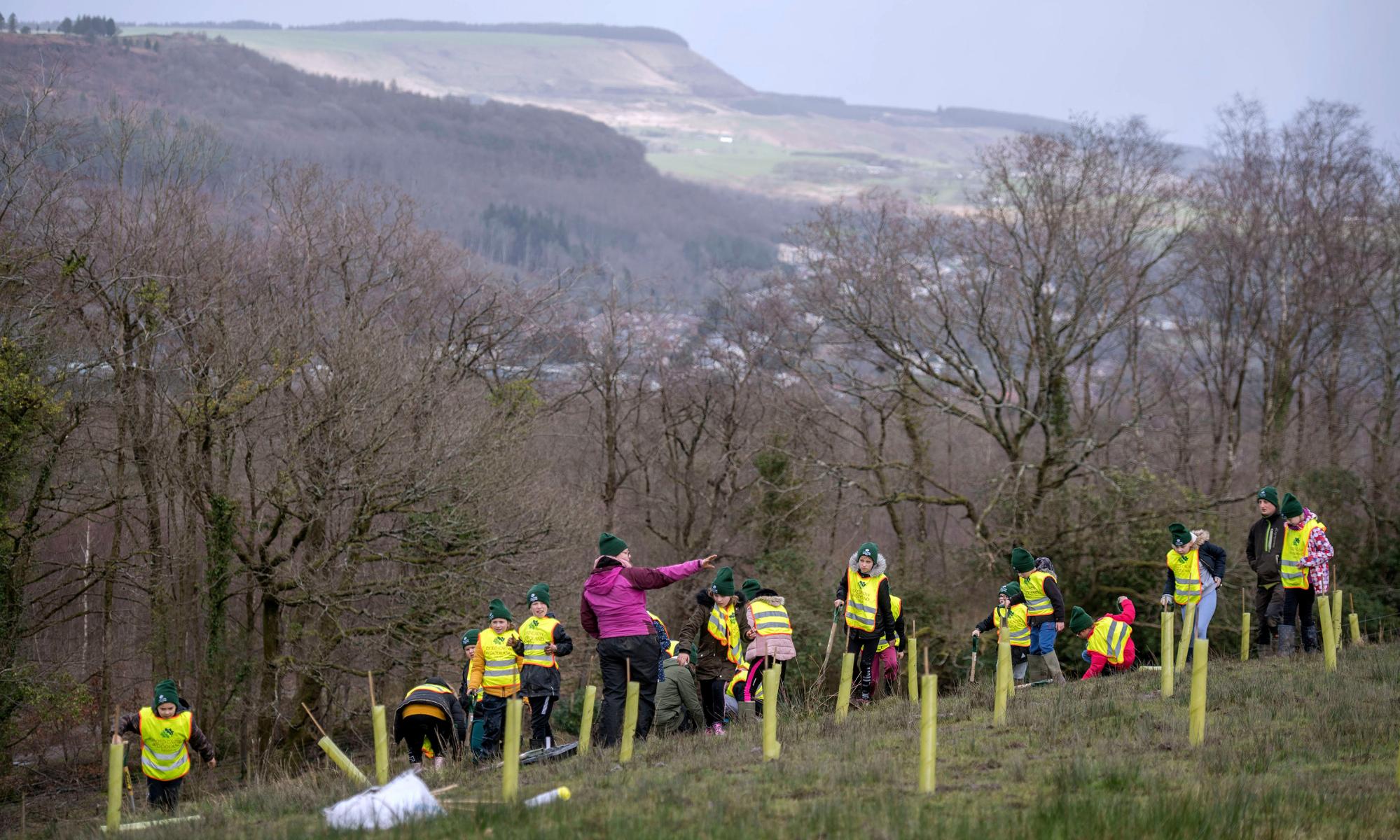 Wales launches £5m national forest scheme – with pupils' help