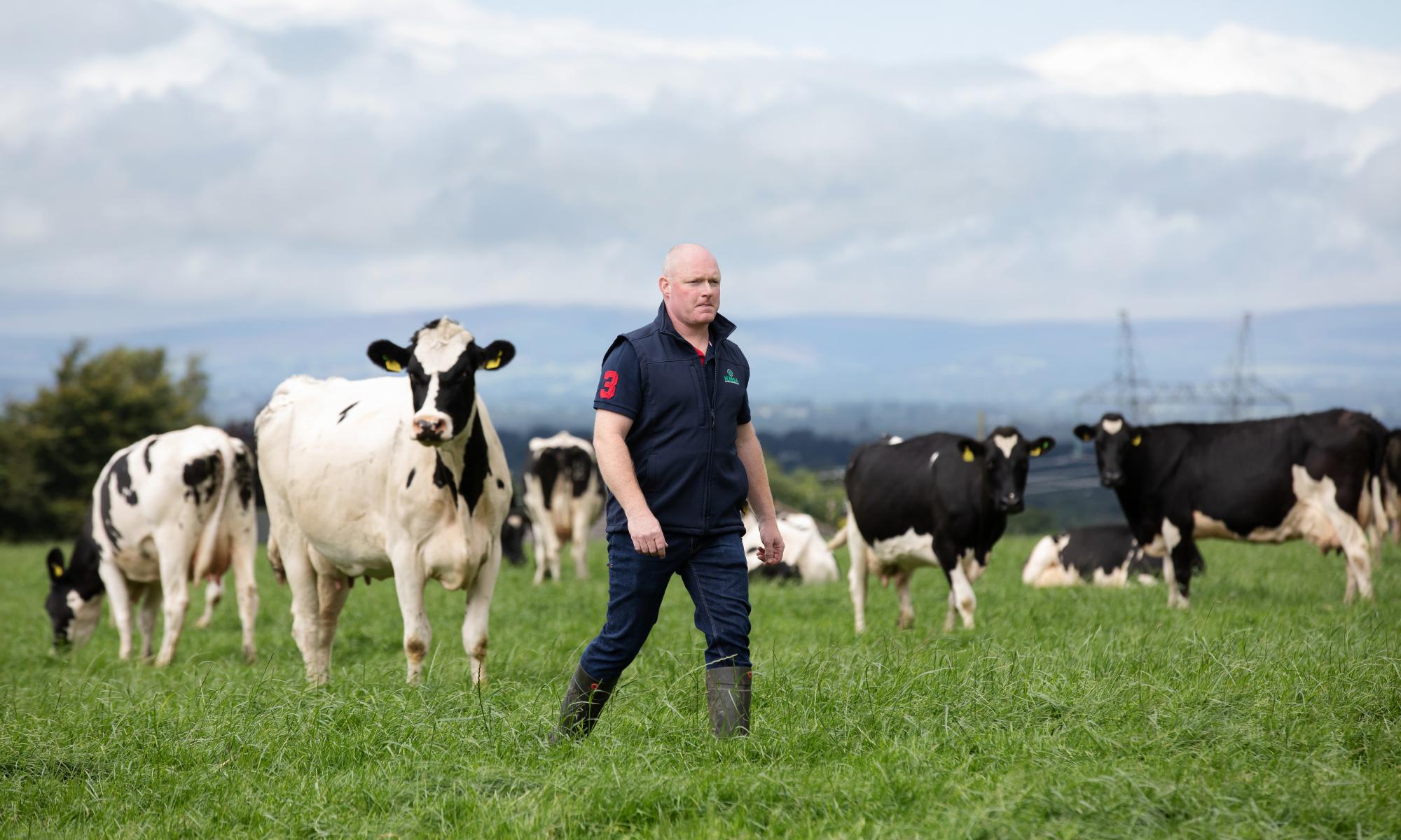 Irish farmers say they will be forced to cull cows to meet climate targets