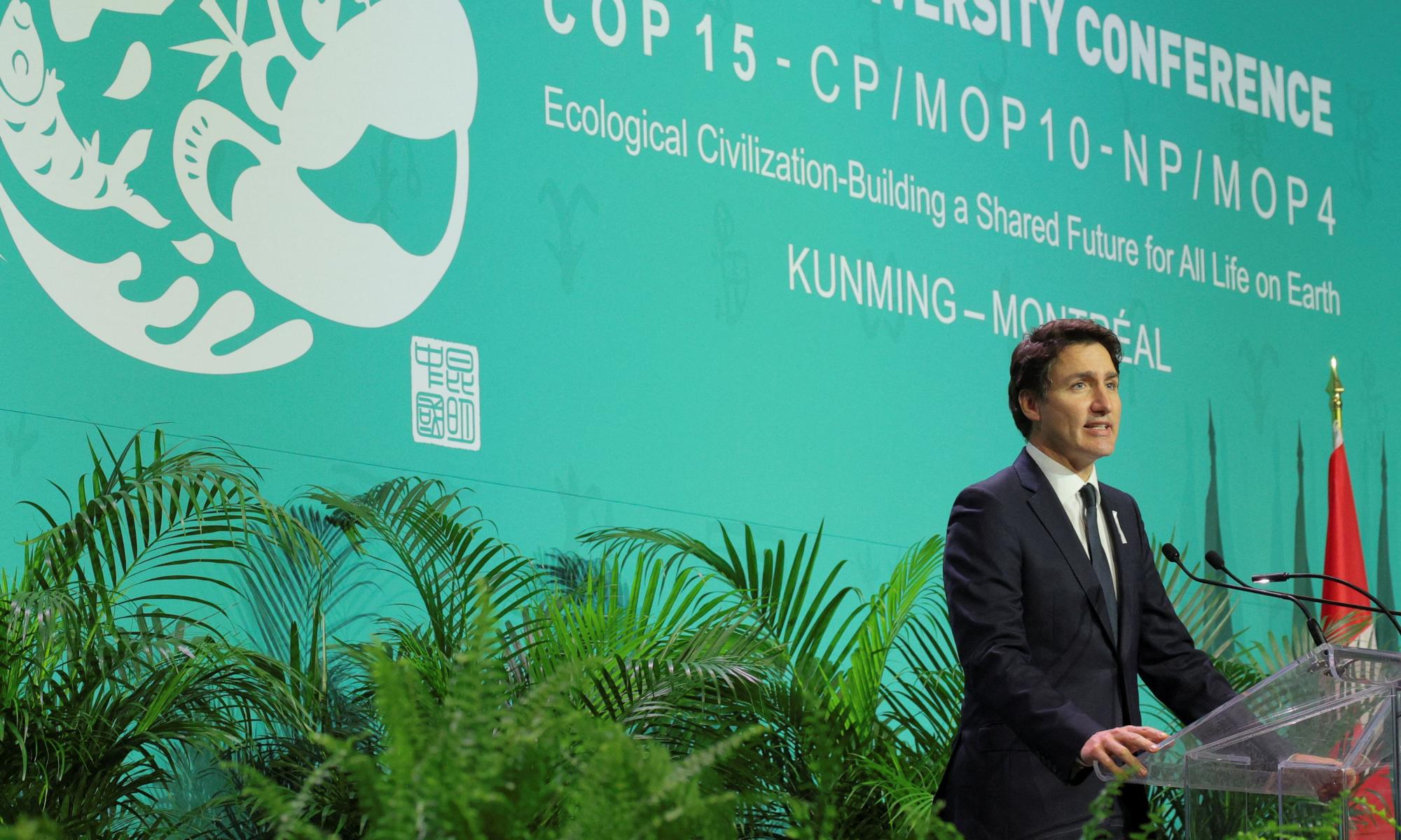 Three ways Cop15 can help save a million species from extinction