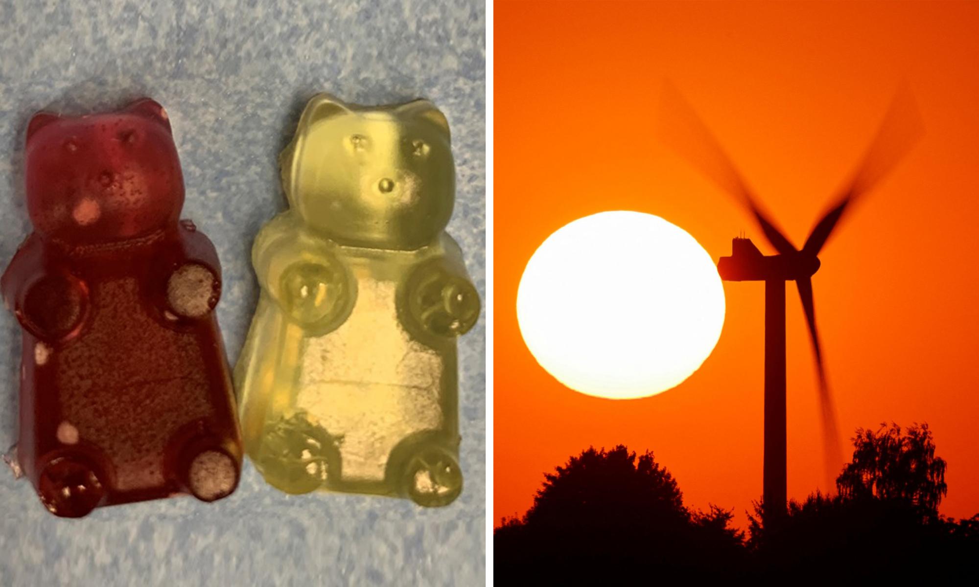 Wind turbine blades could be recycled into gummy bears, scientists say