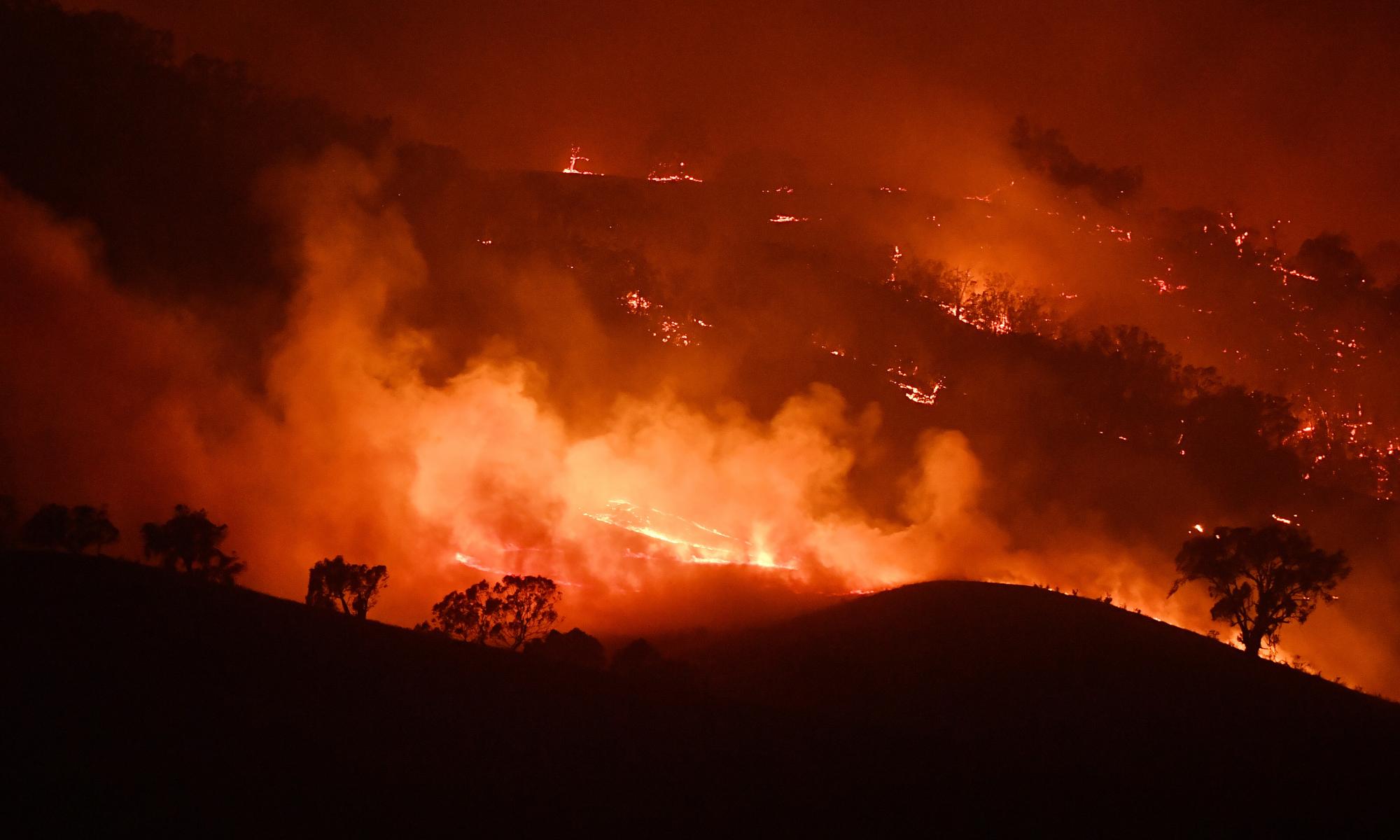 Australia bushfires are harbinger of planet’s future, say scientists