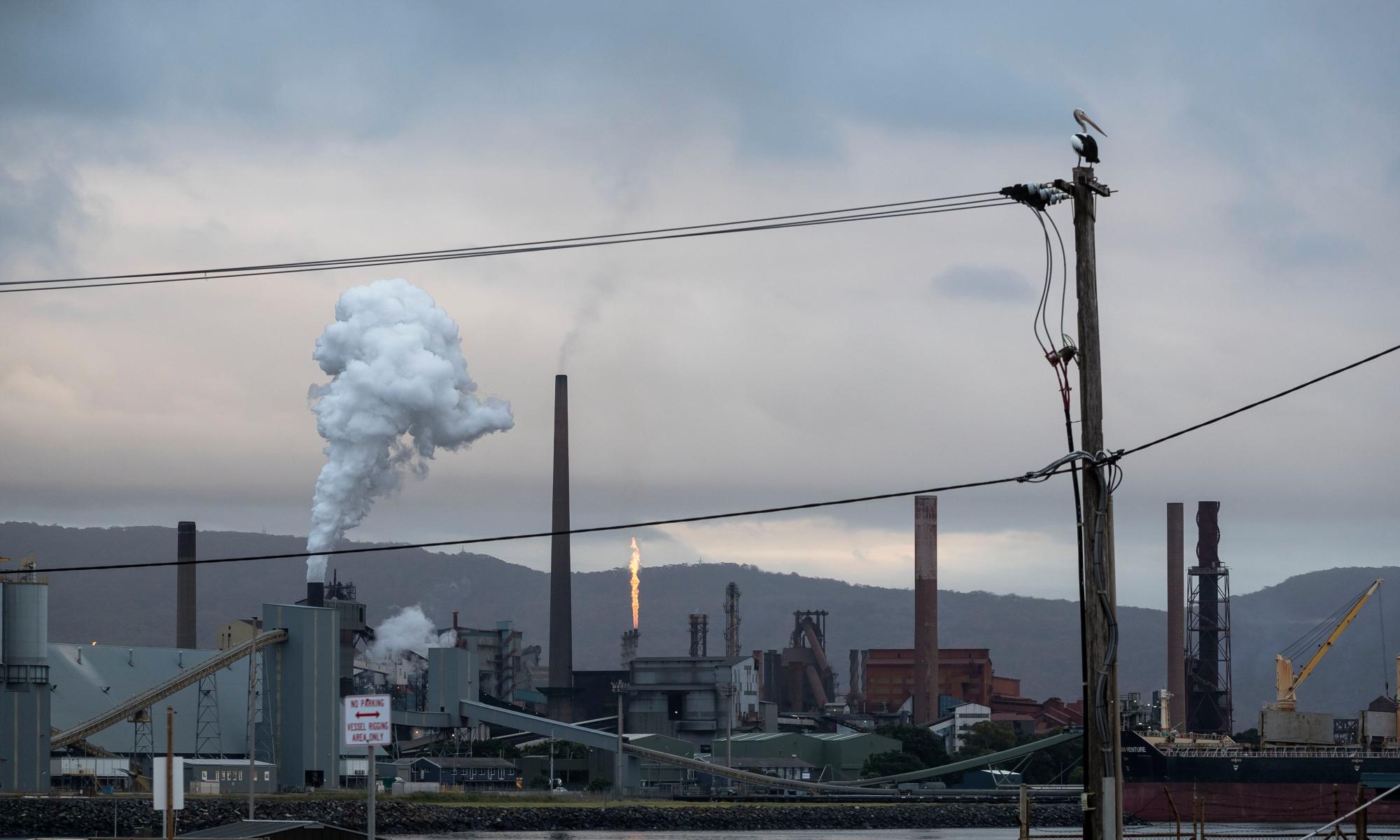 Labor wants safeguard mechanism to cut emissions from big polluters by up to 6% a year