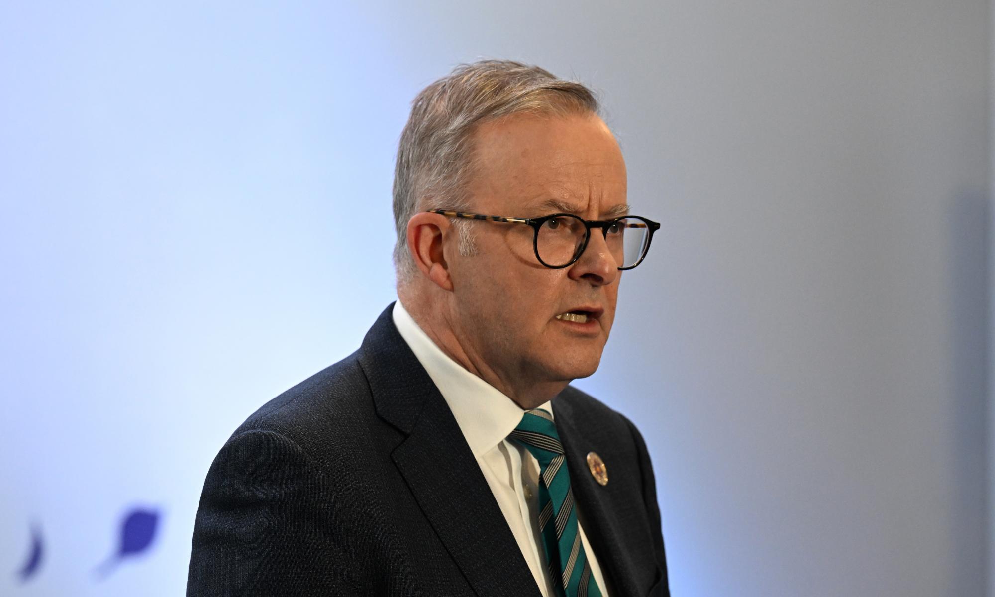 Climate crisis solutions may also ease global financial shocks, Albanese to tell business leaders