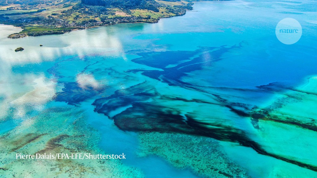 How Mauritius is cleaning up after major oil spill in biodiversity hotspot