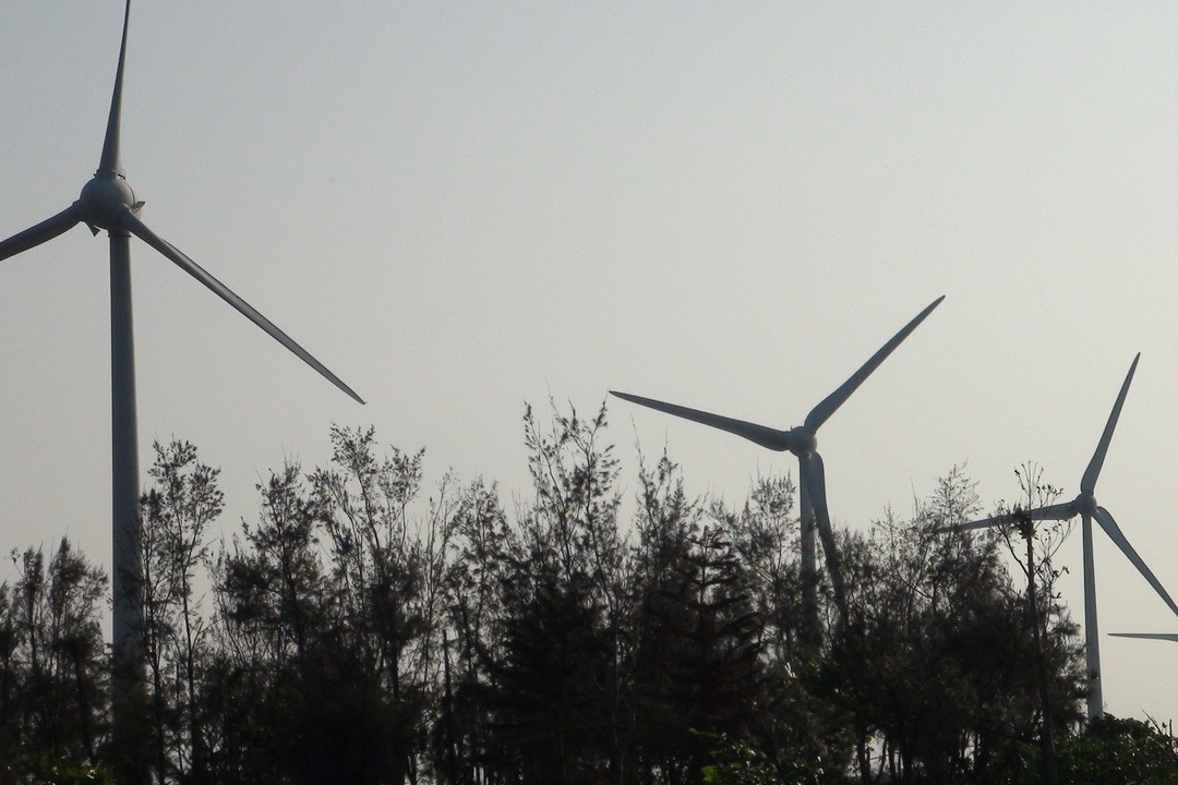 去年綠電轉供量年增11.5倍 近八成是陸域風力