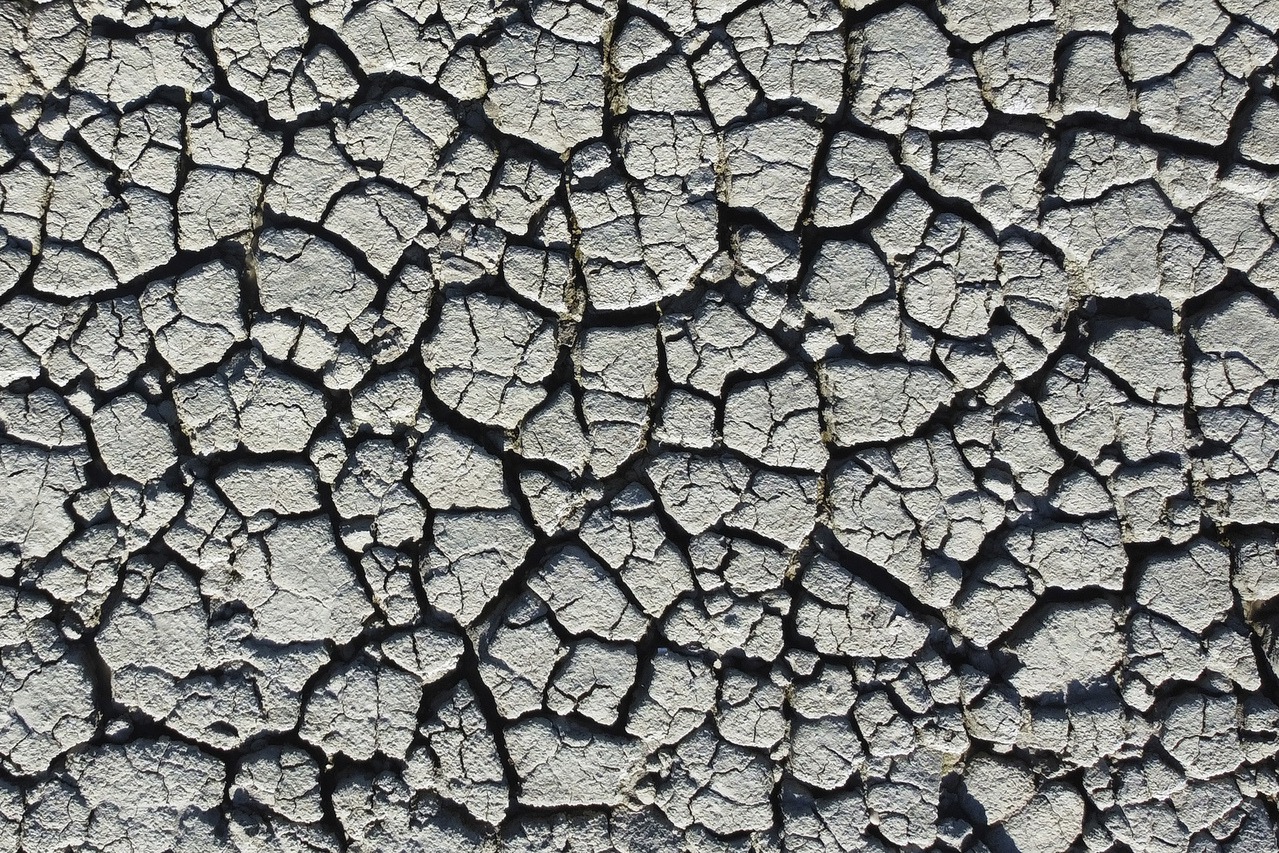 最乾的20年！研究：美西南部遭遇近1200年來最嚴重乾旱