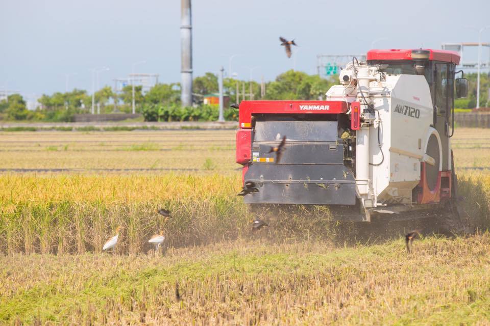 暖化升溫 科技部預言水稻恐減產、海平面上升1.2公尺