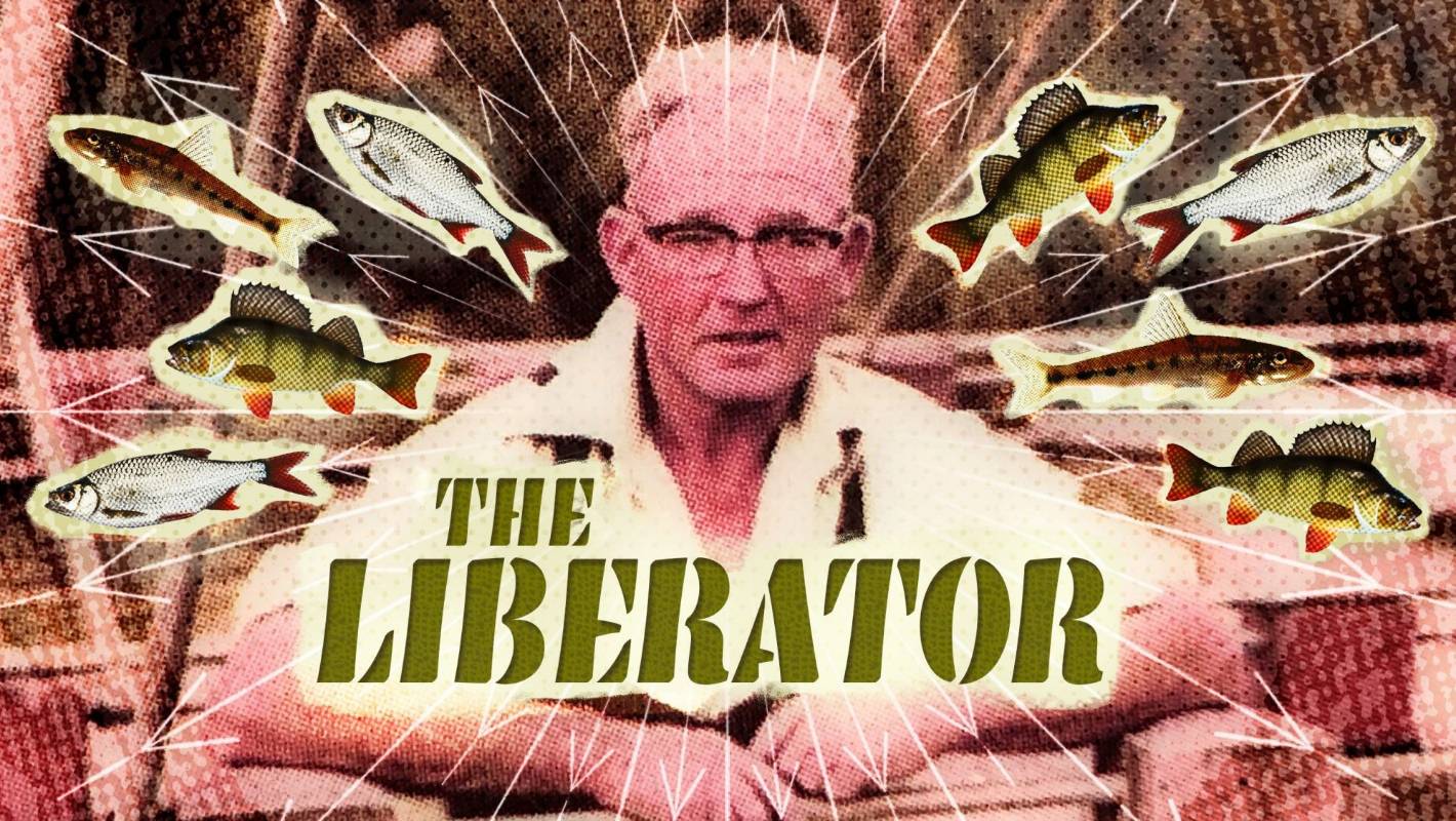 The Liberator: How one man's 15,000 pest fish changed New Zealand's waterways
