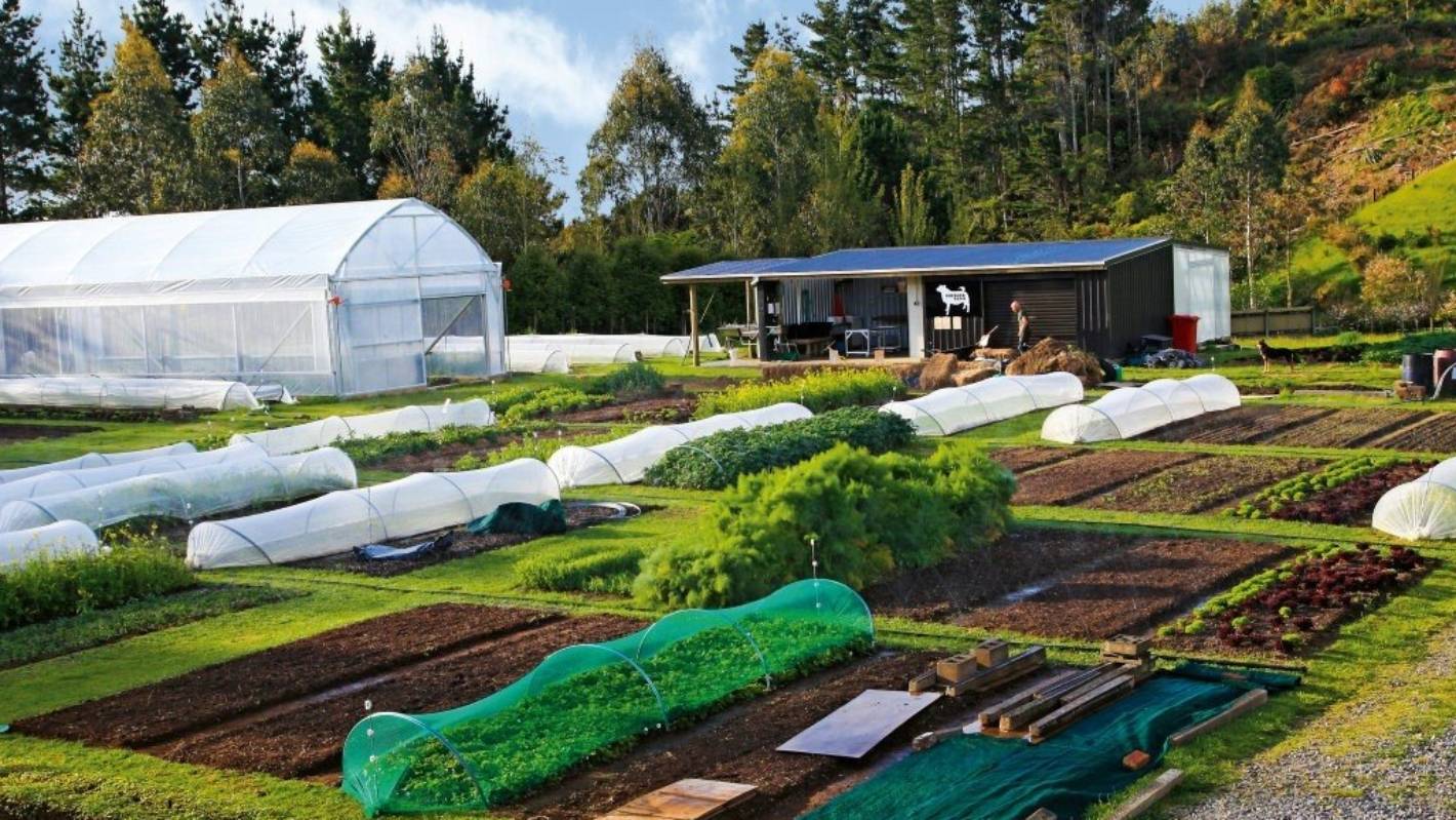 Compact but productive: Taranaki permaculture farm wants to lead the food revolution