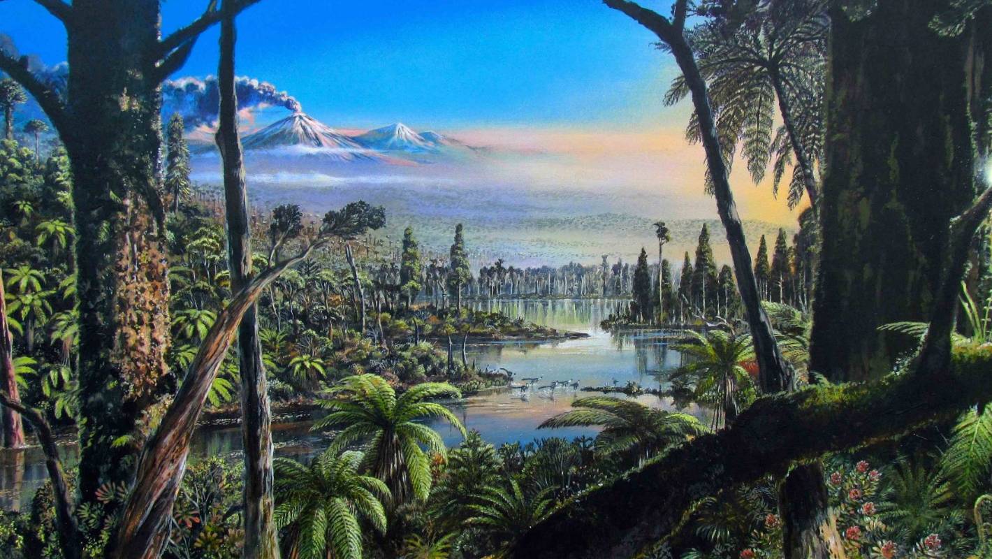 South Island-type forests flourished near South Pole 90 million years ago, study shows