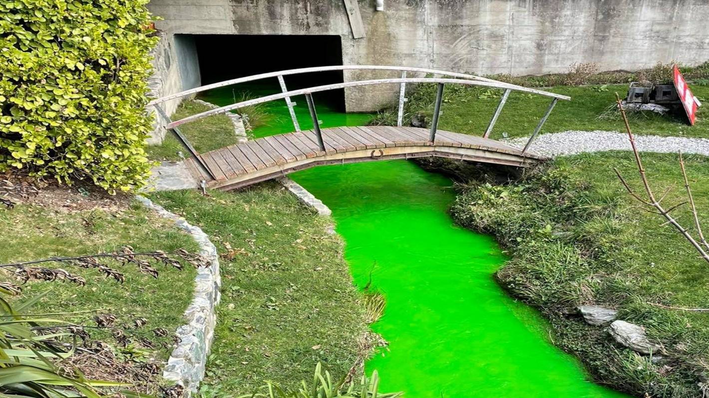 Identifying source of neon green substance in Queenstown creek may take weeks