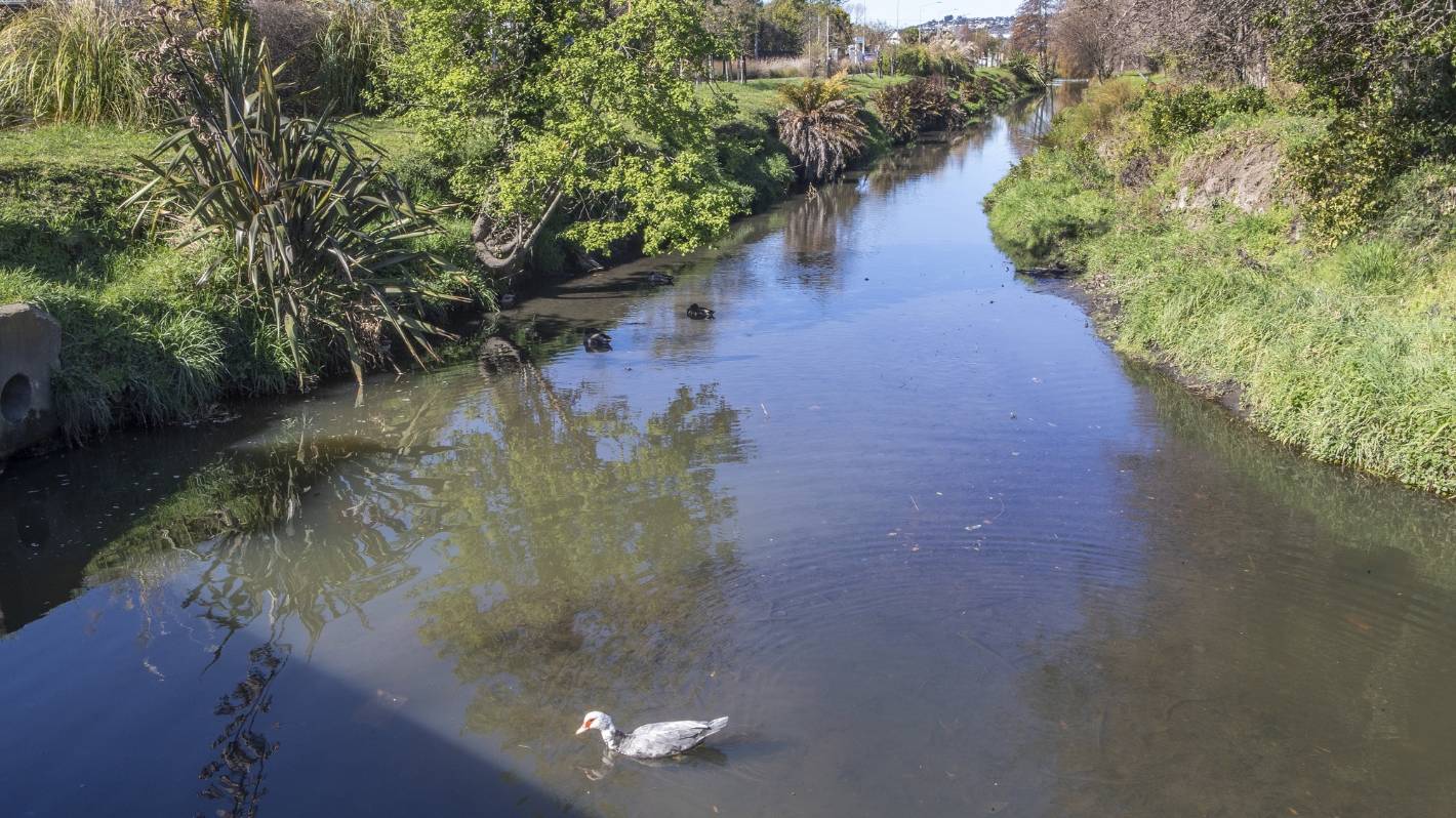 Christchurch waterways suffering 'urban stream syndrome'