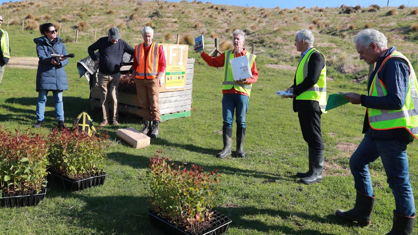 Forestry minister mucks in to help plant first of a new generation eucalyptus tree