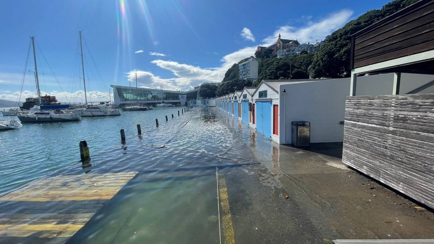 Sea-to-the-door tides will soon become common at Wellington boatsheds