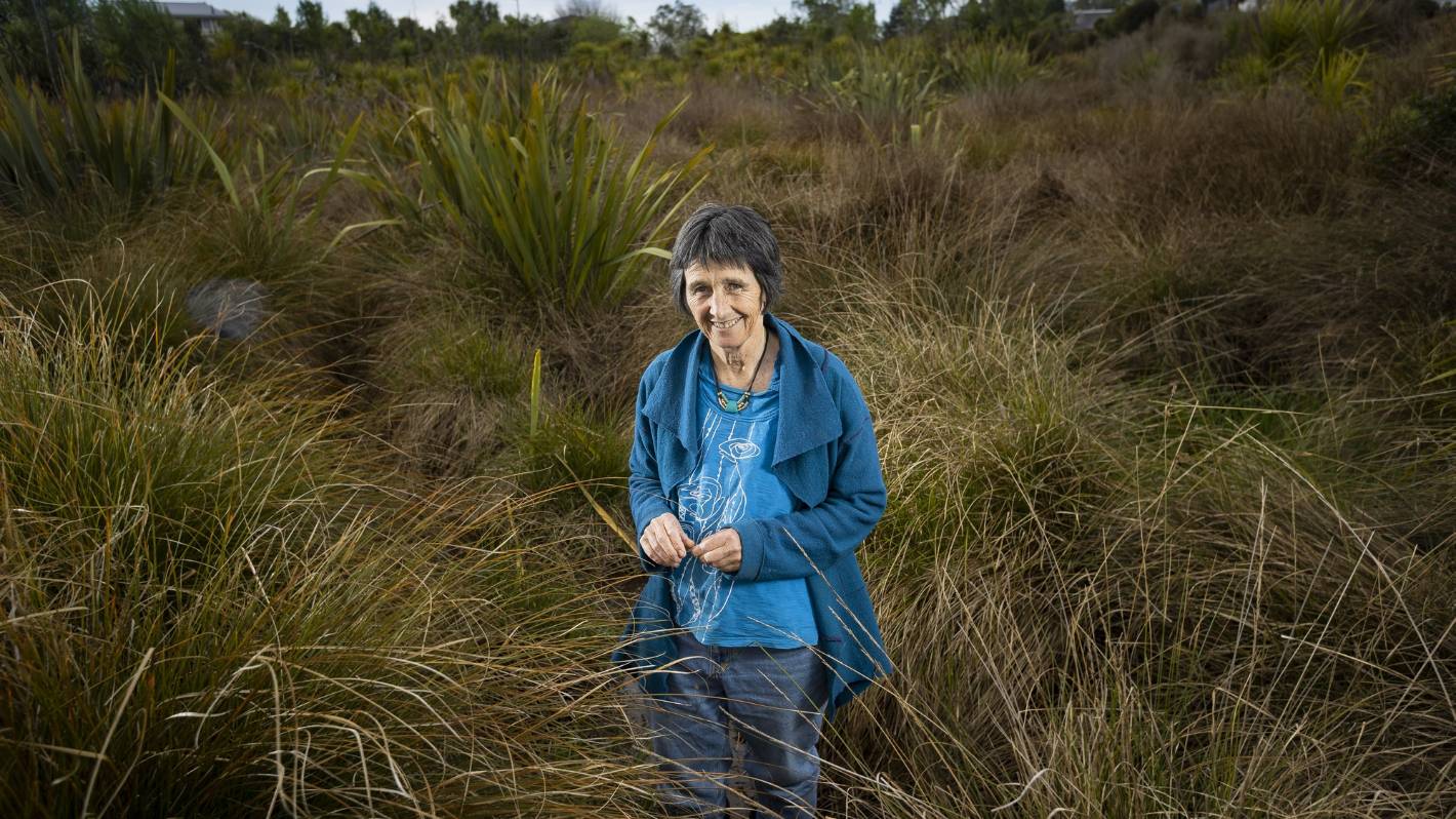 The Swamp, the Sacred Place: A celebration of Aotearoa's wetland kaitiaki