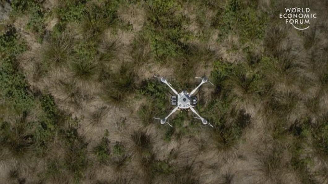 森林保育新未來! 無人機大軍加入植樹行列