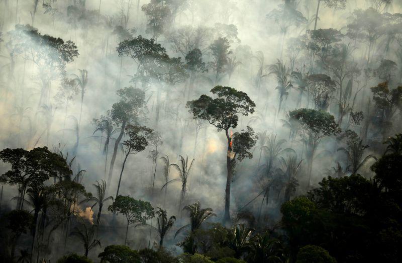Fires in Brazil's Amazon jump in June, stoking fears for dry season
