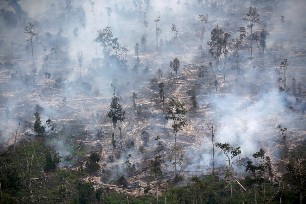 Indonesia gets U.N. funds to fight climate change, deforestation