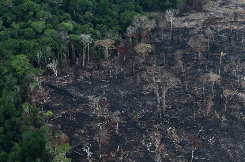 Brazil Amazon deforestation jumped 85% in 2019 vs 2018: government data