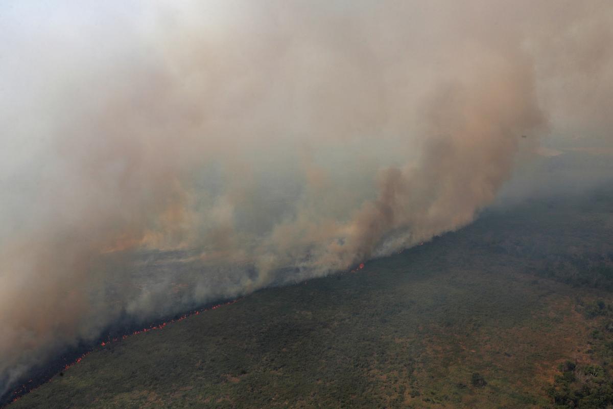 Brazil's Pantanal, world's largest wetland, burns from above and below - Reuters India