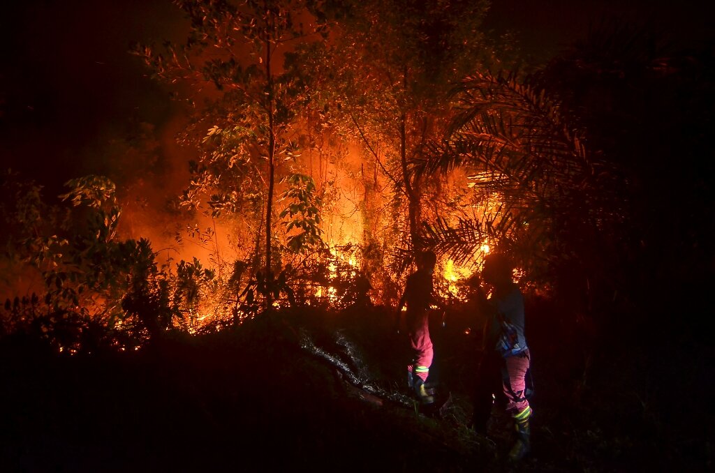 Indonesia province declares state of emergency over forest fire risk