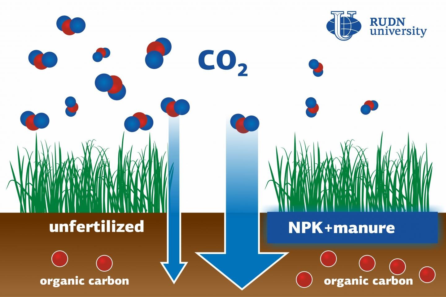 Paddy soil fertilization can help reduce greenhouse effect