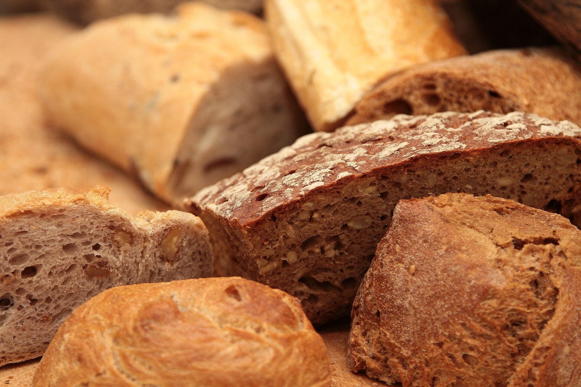 Taking a bite out of food waste: Scientists repurpose waste bread to feed microbes