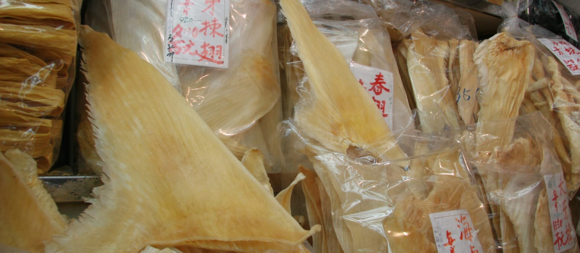 Mercury levels in shark fins illegal and dangerous to human health