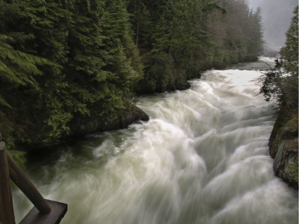 COVID-19: B.C's economic restart plan includes $27M for watershed protection