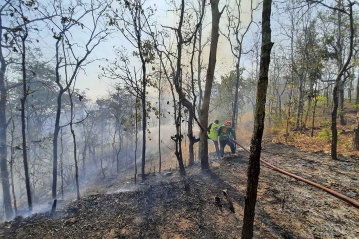 Land grab 'factor' in forest reserve blaze