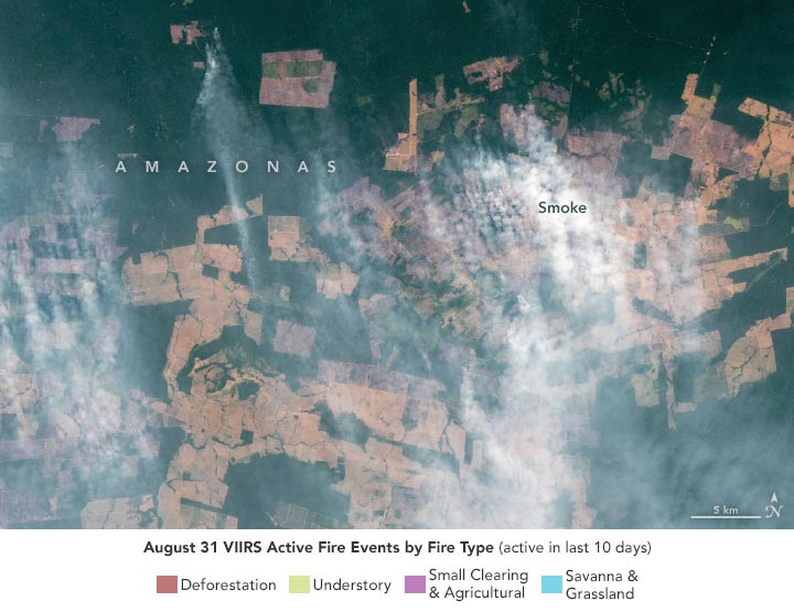 研究：亚马逊西部烟雾弥漫的天空主要是由森林砍伐引起的火灾产生