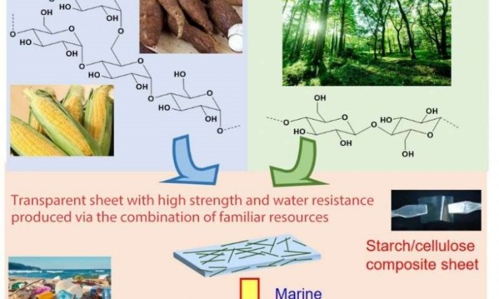 日本研究人员创造了将淀粉和纤维素结合在一起的可水降解塑料