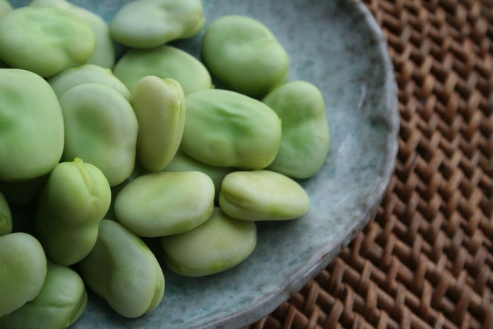 研究称蚕豆可能是一种更环保的大豆替代品