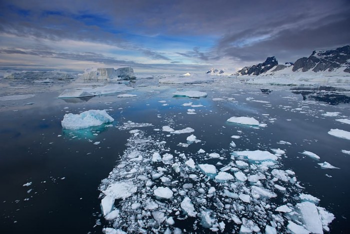 科学家首次在南极海冰中发现微塑料