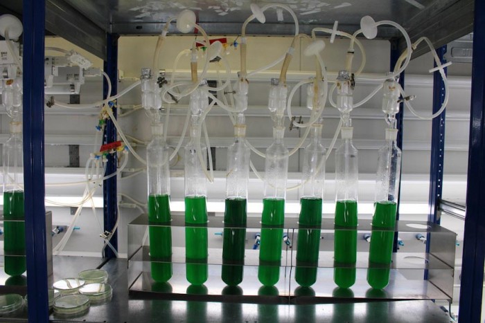 微生物学家通过细菌修改制造出气候中立且能快速降解的生物塑料